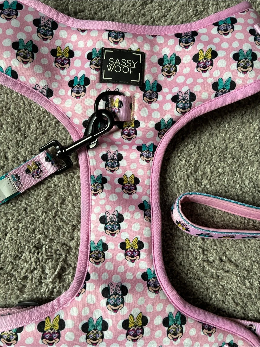Sassy Wolf Disney Pink Minnie Mouse Dog Harness Teal Accents